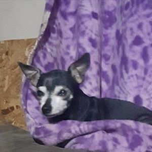 Meet your Posher, Jennjenn